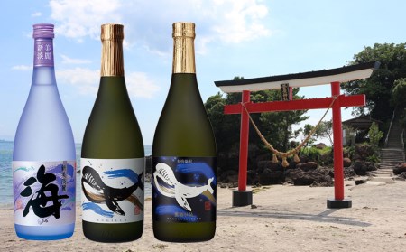 C3-25123／大海酒造 720ml 6本セット