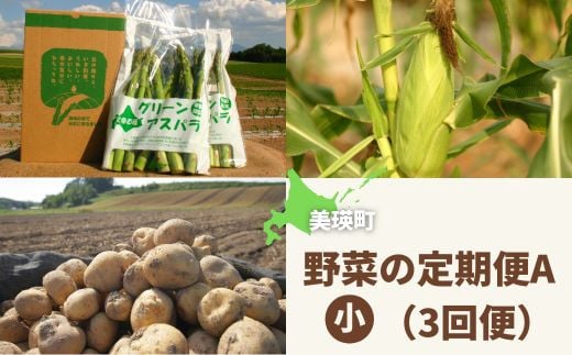 【先行予約】野菜 定期便A【小】 3回便 <令和7年産 >黒木農場 グリーンアスパラ（M～2Lサイズ）1kg、ほしつぶコーン6本 & 雪の妖精6本、じゃがいも3種セット（男爵、キタアカリ（M～2L混）、インカのめざめ（2S以上混））各3kg[040-23]