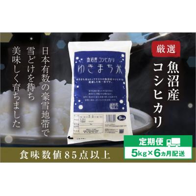 ふるさと納税 十日町市 【毎月定期便】ゆきまち米 5kg[厳選された新潟県魚沼産コシヒカリ]全6回