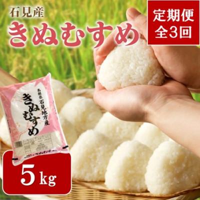 ふるさと納税 浜田市 【毎月定期便】石見産きぬむすめ　5kg全3回