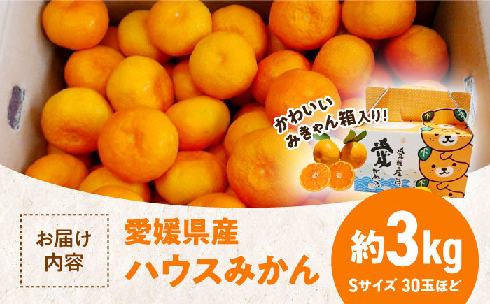 【先行予約】【夏限定】愛媛県産 峯田農園のあま〜い「ハウスみかん」3kg【みきゃん箱入】　愛媛県大洲市/峯田農園 [AGBT003]みかん オレンジ フルーツ ミカン 果物 かき氷 みかんジュース 愛