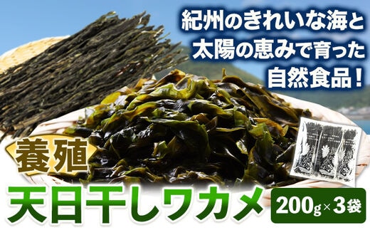 
										
										天日干しワカメ(養殖) 約600g 約200g×3袋 株式会社はし長 《30日以内に出荷予定(土日祝除く)》 和歌山県 日高町 わかめ ワカメ 海藻 味噌汁---wsh_hsn11_30d_23_15000_600g---
									