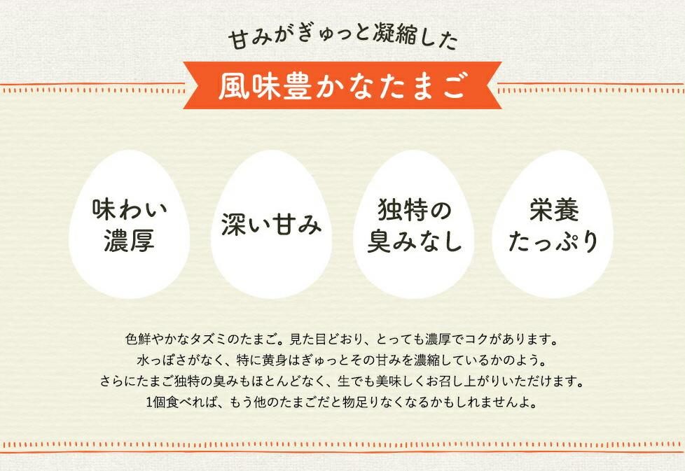 097AB01N.タズミの卵Ｌサイズ（30個×12ヶ月）／こだわり卵 市川町産 兵庫県産 たまご たまごかけご飯 玉子 生卵 鶏卵 タマゴ 卵焼き TKG 12か月 定期便 [097AB01N]