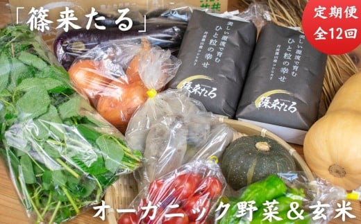 【2025年10月以降順次スタート】「篠来たる」オーガニック野菜(7種ほど)と玄米２kgの定期便 ※3・4月農閑期のみ丹波篠山産の加工品　自然派 げんまい おいしい お米 コシヒカリ ブランド 健康 有機 人気 口コミ 関西 西日本