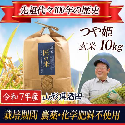 ふるさと納税 酒田市 【栽培期間中農薬不使用】つや姫 玄米10kg 大粒LLサイズ以上厳選 令和7年産
