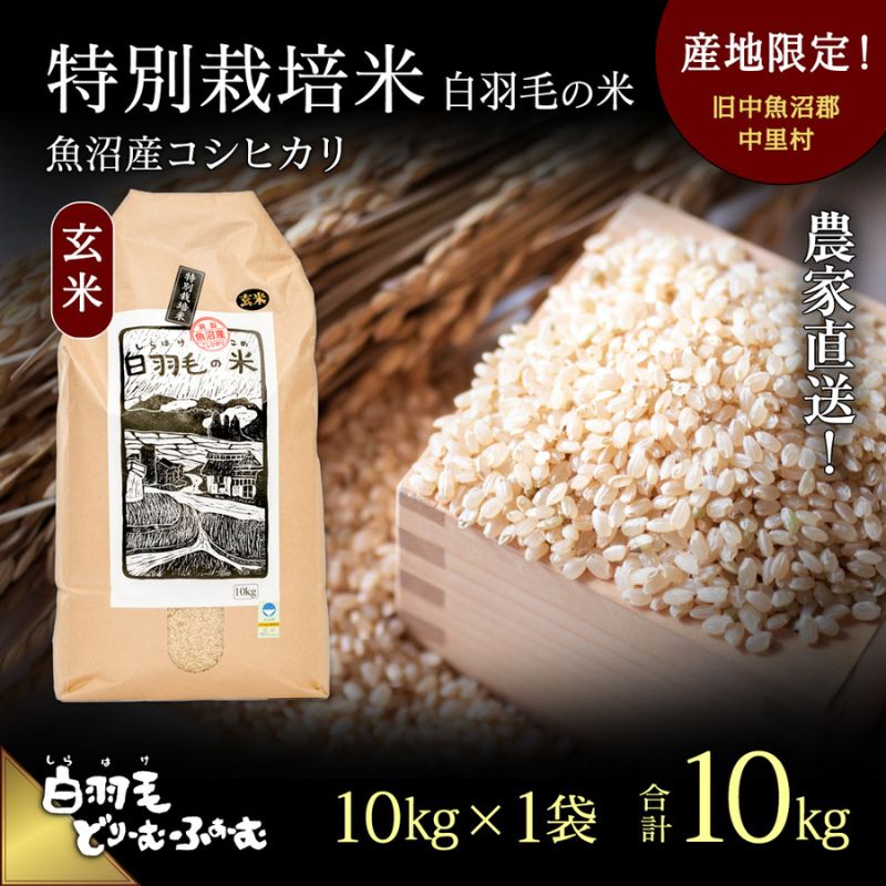 【ふるさと納税】【通年受付】≪令和7年産≫ 農家直送！魚沼産コシヒカリ特別栽培「白羽毛の米」玄米(10kg×1袋) 10kg お米 ご飯 安心 　お届け：10月1日発送開始。通年受付にてお届けします。