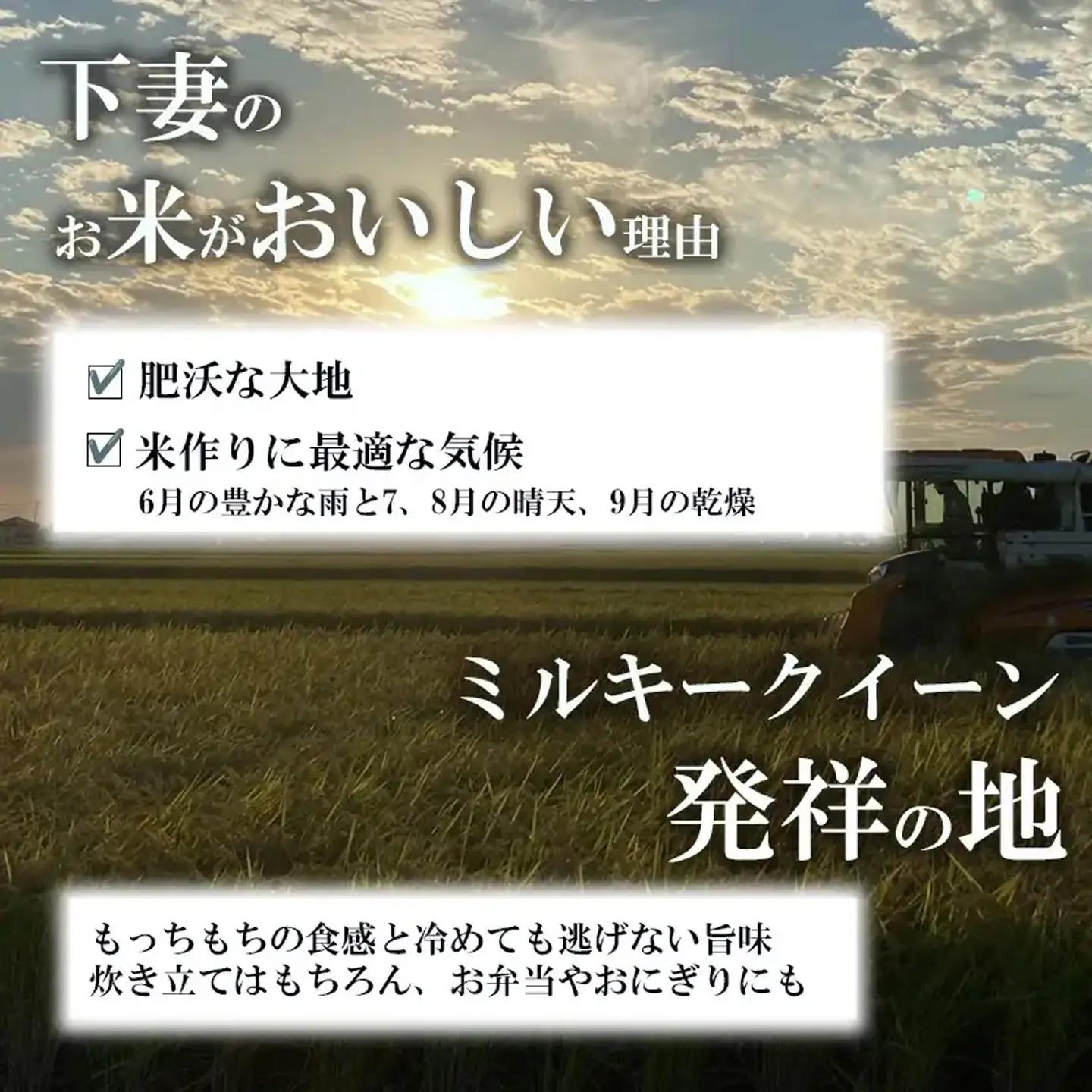 【ふるなび限定】新米 R8年産 ミルキークイーン 精米 12kg | 定期便 6ヶ月 10月開始 FN-Limited-PR