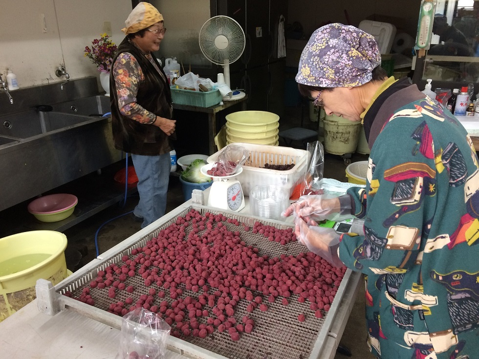 TH‐03　40年作り続けてきた無添加梅干し（大梅）と赤しそふりかけのセット_イメージ4