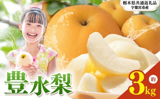 【2026年先行予約】栃木県産 梨 豊水 3kg |ほうすい なし ナシ 完熟 果物 フルーツ プレゼント ご褒美 お取り寄せ 贈答 おいしい ジューシー 数量 限定 栃木県産 栃木県 真岡市 減農薬 送料無料 【栃木県共通返礼品 宇都宮市産】