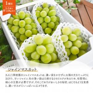 【発送月固定定期便】【きよとうファーム】シャインマスカット計2kg～と梨2-3種上級品岡山県産全2回【配送不可地域：離島】【4067489】