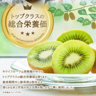 ふるさと納税 太良町 体が喜ぶ!キウイフルーツ 17〜22個(約2kg)バラ詰め合わせ(太良町)【007-0010×2】 |  | 01