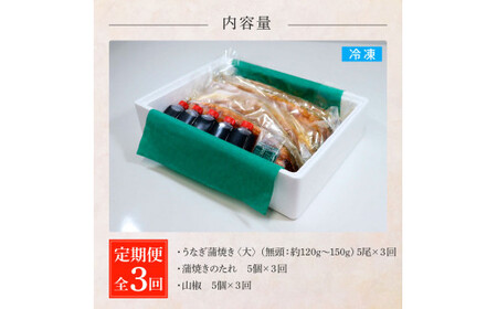 うなぎの蒲焼き(大) 5尾×3回 定期便 3ヶ月 定期コース タレ付き 山椒付き