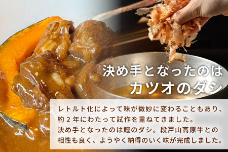 お肉がごろっと入った！たけうち牧場のビーフカレー お試し 1個 国産牛 ご当地カレー カレー 中辛 ブランド牛カレー レトルトカレー スパイス 段戸牛カレー  -217
