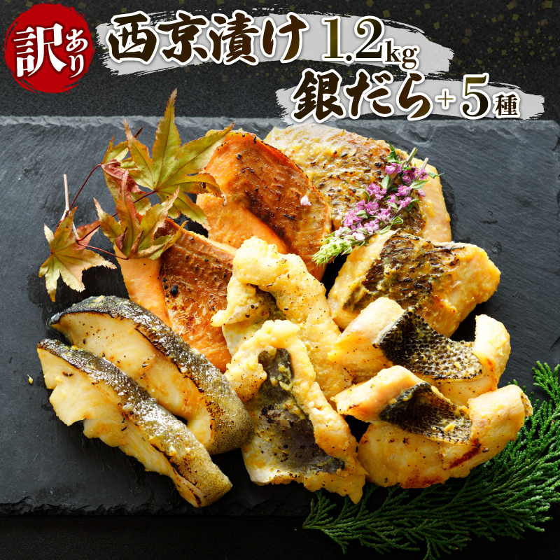 訳あり 西京漬け 1.2kg 6種セット (銀ダラ ＋その他5種) | 魚 さかな 銀ダラ 真鯛 タイ さわら ハモ ブリ 黒鯛 スズキ 鮭 赤魚 鯖 サバ 冷凍 小分け 愛媛県 松山市