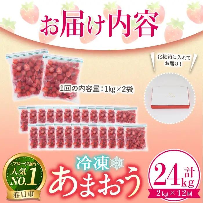 ＜全12回定期便(毎月)・先行予約受付中！2027年1月中旬以降順次発送予定＞冷凍あまおう（計24kg:2kg×12回) いちご イチゴ 苺 あまおう 冷凍いちご 冷凍イチゴ 国産 定期便福岡県 果物