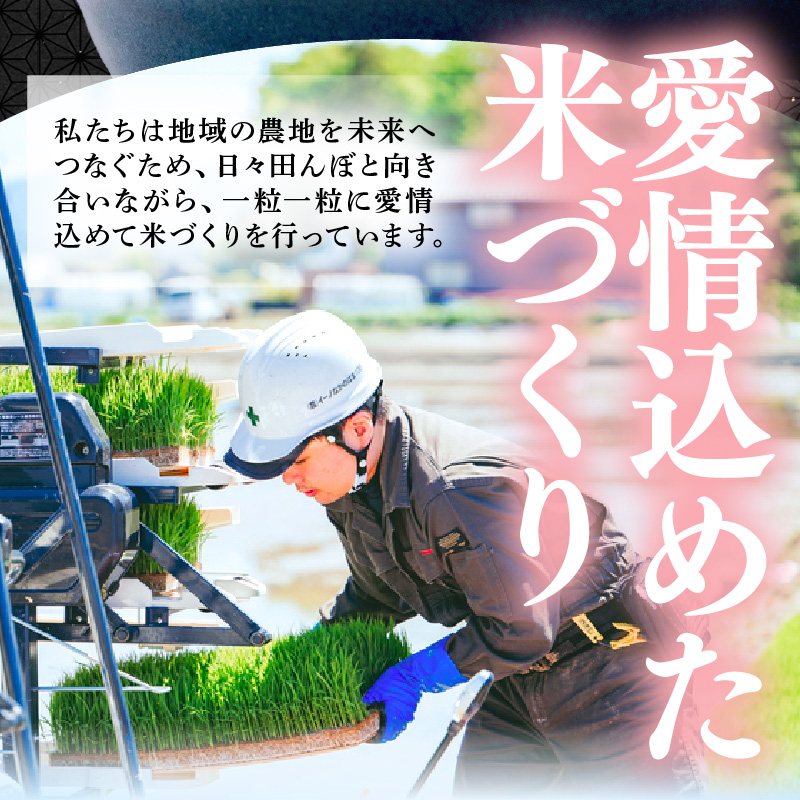 【先行予約】【令和8年産】ハナエチゼン 精米 5kg（農事組合法人イーノなかのはま100） / 北陸 福井県産 あわら市 ブランド米 白米 お米 コメ ※2026年10月より順次発送予定 [aw139