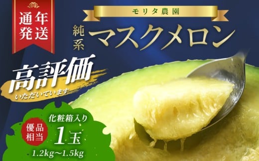【通年栽培】純系マスクメロン１玉（化粧箱入）【４月発送分】　マスクメロン メロン フルーツ 果物 1玉 1個 年間 通年 2026年 先行予約 先行受付 発送 すぐ 発送時期選べる おすすめ 贈答用 優 高級 化粧箱 箱入り プレゼント 贈り物 ギフト 国産 千葉県 富津市 送料無料 モリタ農園