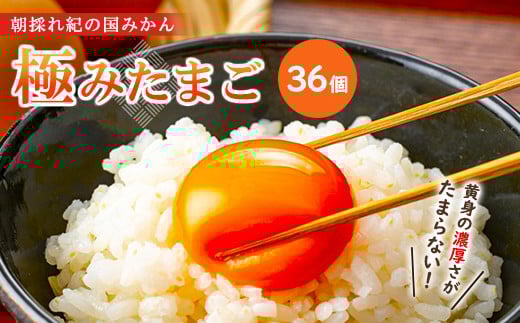 
            紀の国みかん極みたまご36個
          