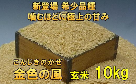 新登場の高級米 令和7年産 岩手県奥州市産 金色の風 玄米 10kg 【7日以内発送】 おこめ ごはん ブランド米 [AC030]
