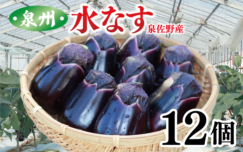 泉州 水なす 12個【ハウス栽培 新鮮 野菜 泉佐野産 茄子 数量限定】 【大阪 泉佐野 大阪府 泉佐野市】