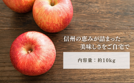 【2026年先行予約】りんご サンふじ 約10kg＜中島農園＞|りんご