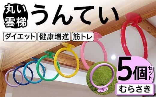 丸い 雲梯（うんてい） 5個セット ＜むらさき＞ 雲梯 ウンテイ 健康 健康増進 ダイエット 筋トレ F21E-282