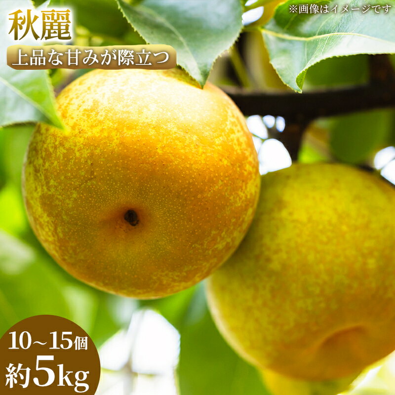 【ふるさと納税】【上品な甘みが際立つ】熊本県産 秋麗 10～15個(約5kg) 1箱 秋麗 梨 フルーツ 甘い 濃厚 農家直送 ギフト 贈答用 家庭用 お取り寄せ 熊本県　お届け：2026年8月15日～2026年8月31日