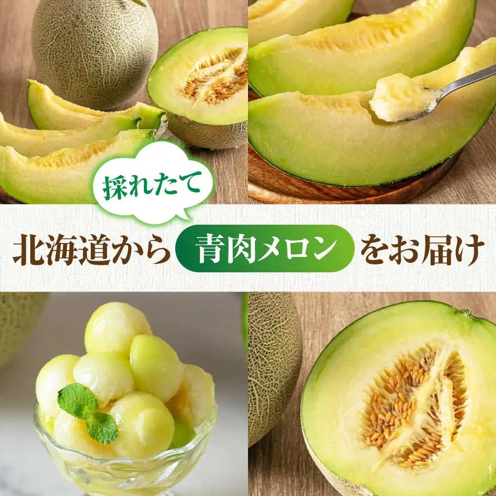 【先行予約】青肉メロン 大玉2玉 [AJAH030] メロン