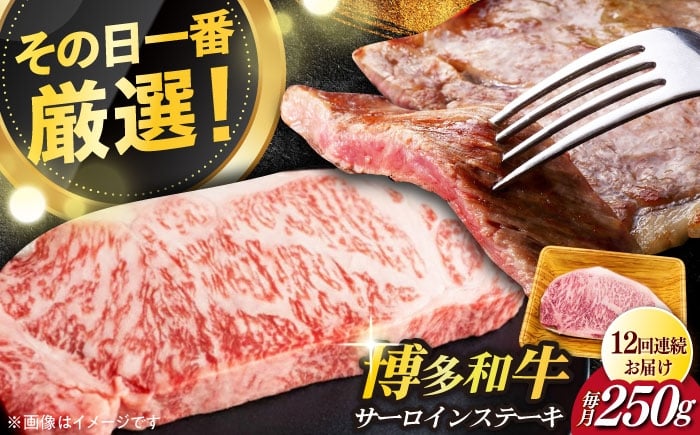 
            【全12回定期便】【厳選部位使用！】博多和牛A4以上サーロインステーキ250g×1枚《築上町》【株式会社MEAT PLUS】 牛肉 肉 [ABBP047] 112000円
          