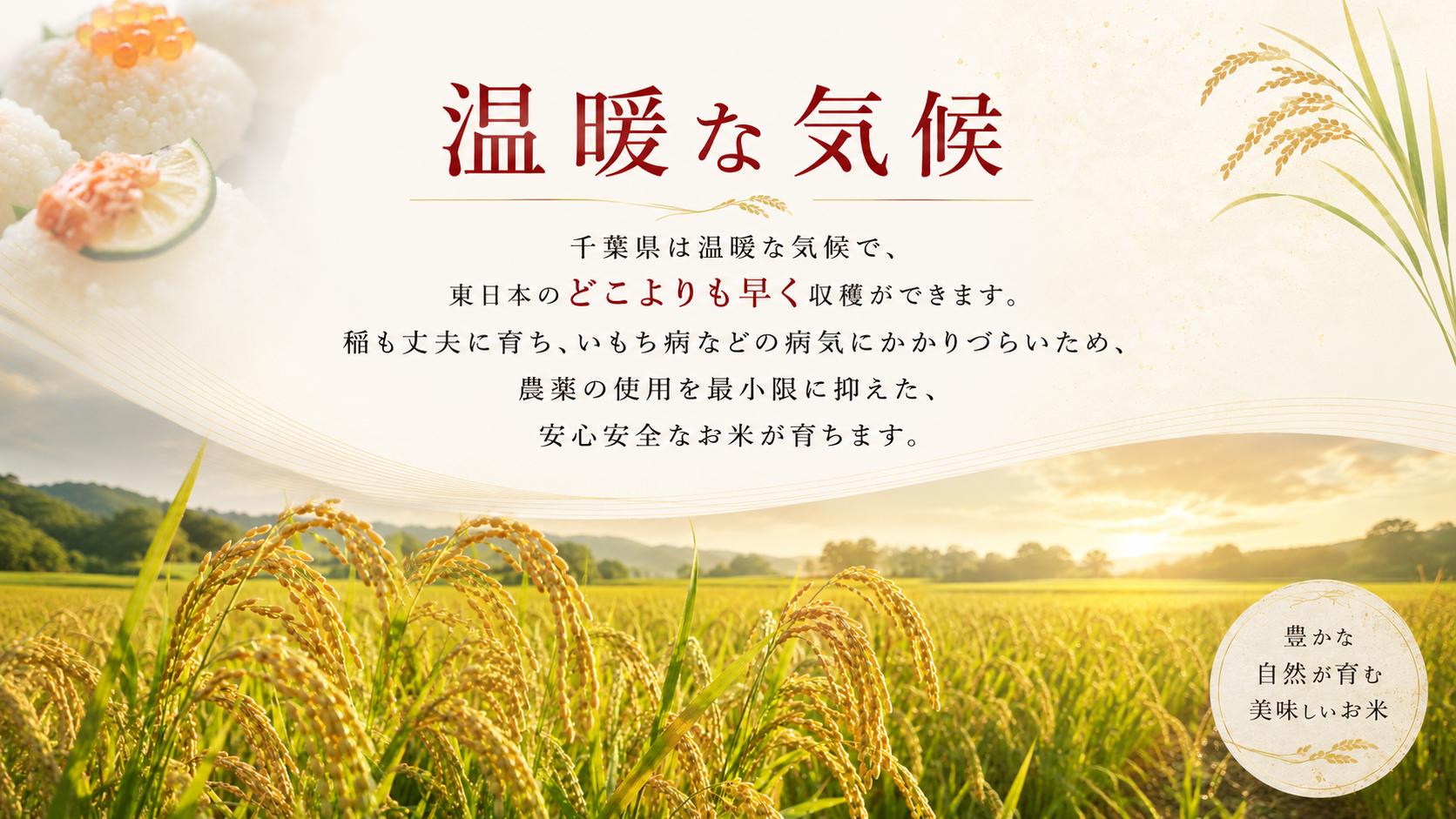 この道35年数多くの受賞歴を誇るベテラン米農家さん。丹精にお米作りをされる方です