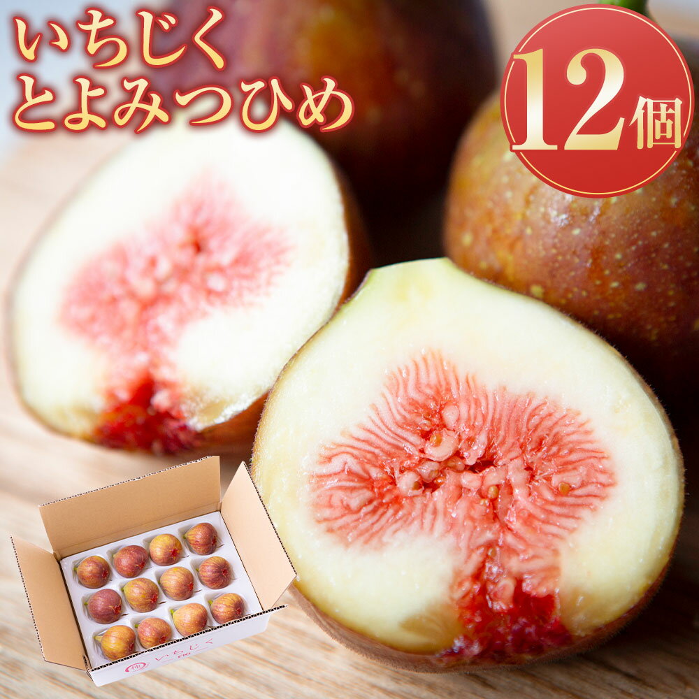 【ふるさと納税】【先行予約】柿屋うちやま いちじく とよみつひめ 12個入り 【2026年7月下旬～9月上旬より順次発送予定】 イチジク 無花果 濃厚 果肉 オリジナル品種 贈答用 贈り物 プレゼント 冷蔵 送料無料 福岡県 うきは市