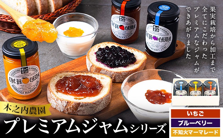 阿蘇 木之内農園 プレミアムシリーズ 3本セット 1本 150g×3 いちご ブルーベリー 不知火マーマレード《30日以内に出荷予定(土日祝を除く)》 熊本県 南阿蘇村 ジャム いちご ブルーベリー 不知火マーマレード ジャム スイーツ ギフトセット 送料無料---isms_kinojptg_30d_r7_10500_3p---