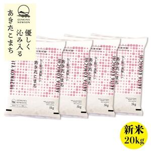 秋田県産 予約受付開始!あきたこまち【令和7年産】無洗米20kg(5kg×4)《10月中旬より発送》【配送不可地域：離島・沖縄県】【1519359】