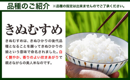 【3ヶ月定期便】【令和8年3月～5月発送】令和7年産 備中笠岡 ふるさと米 5kg ｜米 白米 