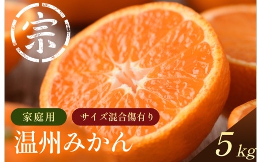 【先行予約】温州みかん（家庭用）約5kg【K003650K5】