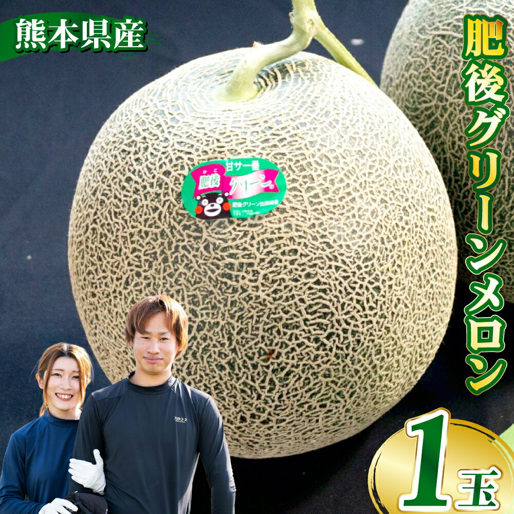 【ふるさと納税】肥後グリーンメロン 1玉 メロン めろん くだもの 果物 果実 フルーツ 糖度15～18度以上 デザート 熊本県産 国産 九州 熊本県 送料無料 【2026年5月下旬発送開始】
