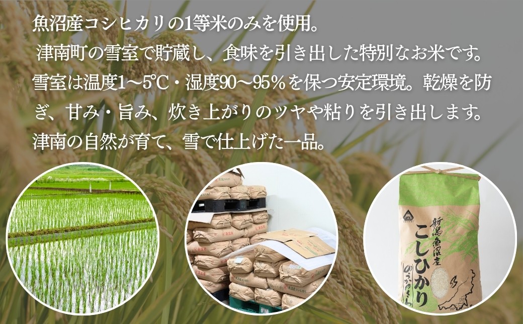 
                  雪室貯蔵 魚沼産コシヒカリ 10kg(5kg×2袋)   精米 令和7年産 | 新潟県産コシヒカリ 魚沼産こしひかり 米 お米 こしひかり 白米 精米 ブランド米 津南町 有限会社大地
                