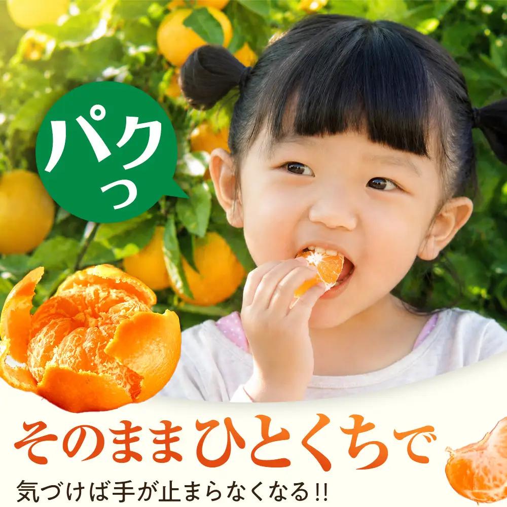 完熟 有田みかん 3kg みかん 小粒 