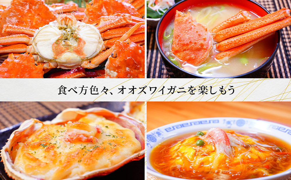 北海道産【 朝ゆで 】訳ありオオズワイガニ 800g詰 道産品 オオズワイ カニ 蟹 規格外品 不揃い 訳アリ 訳有り