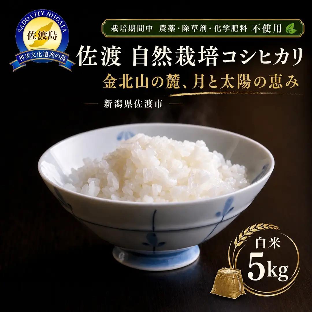 コシヒカリ 自然栽培米 5kg 精米 | 新潟県 佐渡市 コシヒカリ