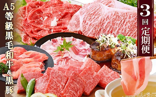 定期便(3回配送)鹿児島産A5等級黒毛和牛＆黒豚 EE−6014【配送不可地域：離島】【1471286】