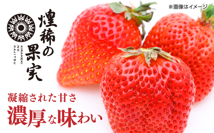 【先行予約】煌稀の果実 高知市春野町産 苺 大粒 約360g (9または12粒)＜2025年1月 から発送開始＞ 【森強のいちご農園】 [ATAS001]