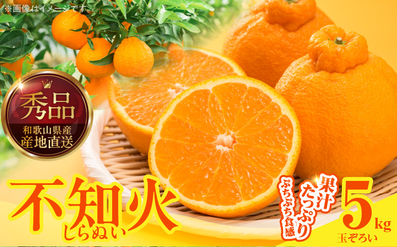 MK1013_不知火 (しらぬい) 秀品 玉ぞろい 箱込 5kg (内容量約4.4kg) 