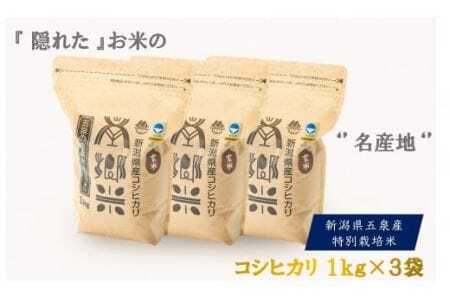 【令和6年度産新米】特別栽培米コシヒカリ「南郷米」玄米3kg（1kg×3袋） 有限会社ファームみなみの郷