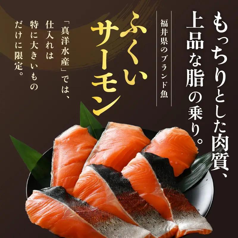 ふくいサーモン切り身 600g  (100g×6切) ＜鮮度抜群！＞ ／サーモン 鮭 [aw002-b003]