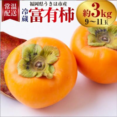 ふるさと納税 うきは市 【先行予約】西見柿農園 冷蔵富有柿 9玉から11玉(約3kg)【2026年12月下旬〜発送予定】