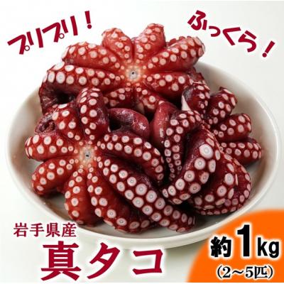 ふるさと納税 普代村 北三陸産 蒸し真タコ丸ごと約1kg (2匹〜5匹) たこ刺身 たこ焼き