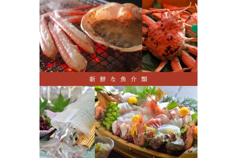 京都府京丹後市 ANAトラベラーズホテル割引クーポン（15,000点）