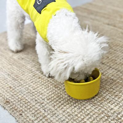 ふるさと納税 瑞浪市 美濃焼　陶器製ペット用フードボウル【Bamboo 早食いフードボウル/トルコブルーpet128】 |  | 01