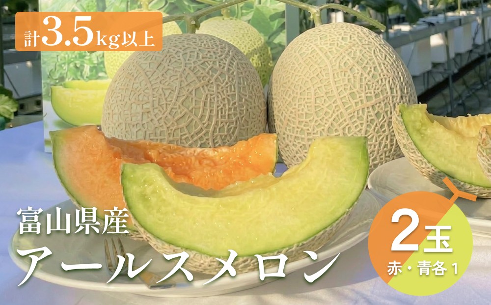 
                  〈先行予約〉アールスメロン 2個セット 計3.5㎏以上（青肉１個、赤肉１個）＜2026年6月下旬以降発送＞【贈答用】【秀品】
                